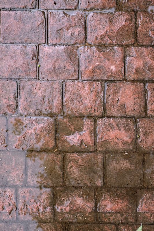 Decorative Concrete Repair in Tampa, FL
