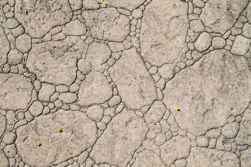 Decorative Concrete Repair in Toledo, OH